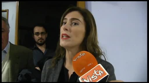 Regionali 2020, Boschi: 