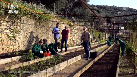 Viaggio in Liguria alla scoperta di Nervi (6)