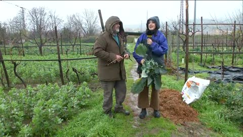 Il mancato freddo e le conseguenze sull' agricoltura