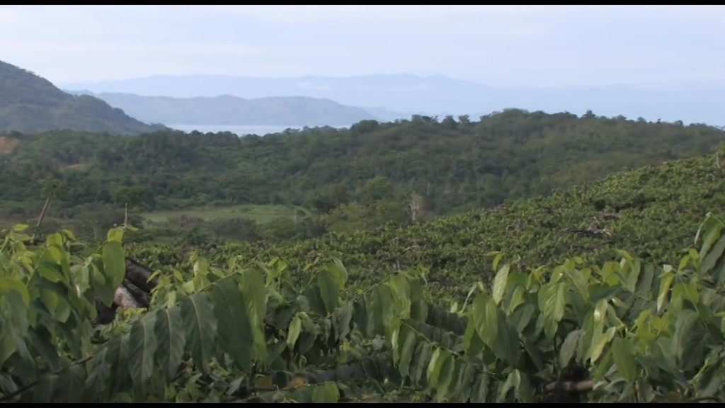 Tre medici genovesi in Madagascar per aiutare la popolazione