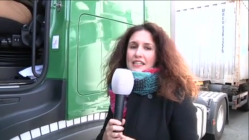 La Spezia, un camionista: "Mascherina e guanti ci vengono forniti dall'azienda"