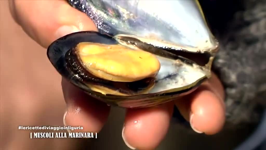 Le ricette di Viaggio in Liguria da provare in quarantena: oggi muscoli alla marinara