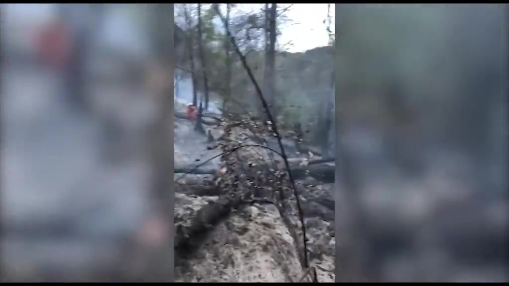 Incendio nel parco di Portofino, in fiamme il bosco di conifere vicino ad alcune ville