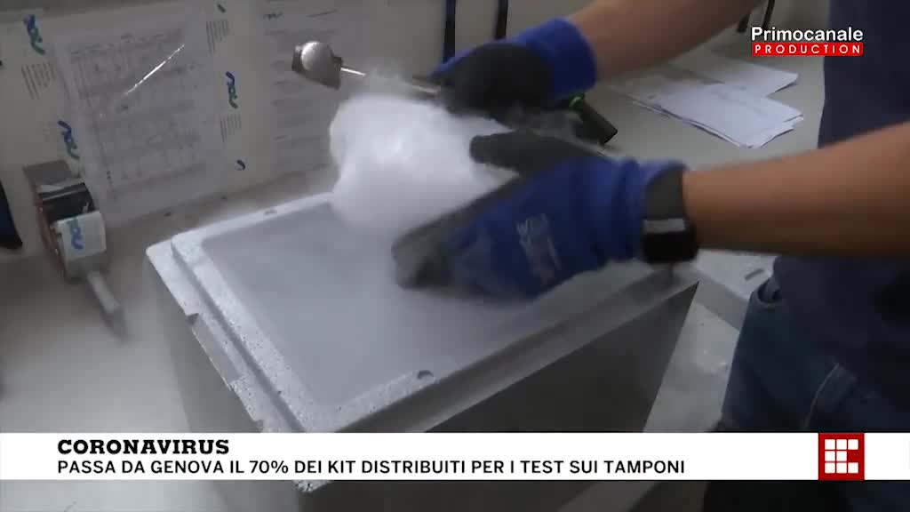 Coronavirus, viaggio nell'azienda genovese che distribuisce i kit per i test sui tamponi