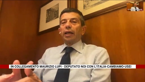 Lupi (Noi con l'Italia): 