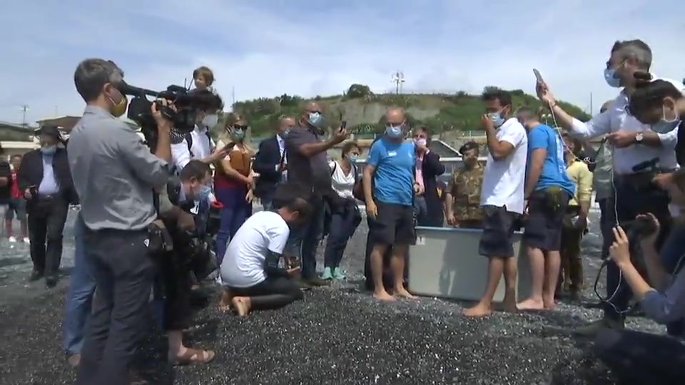 Dopo le cure dell'Acquario di Genova, tornano alla libertà due tartarughe 