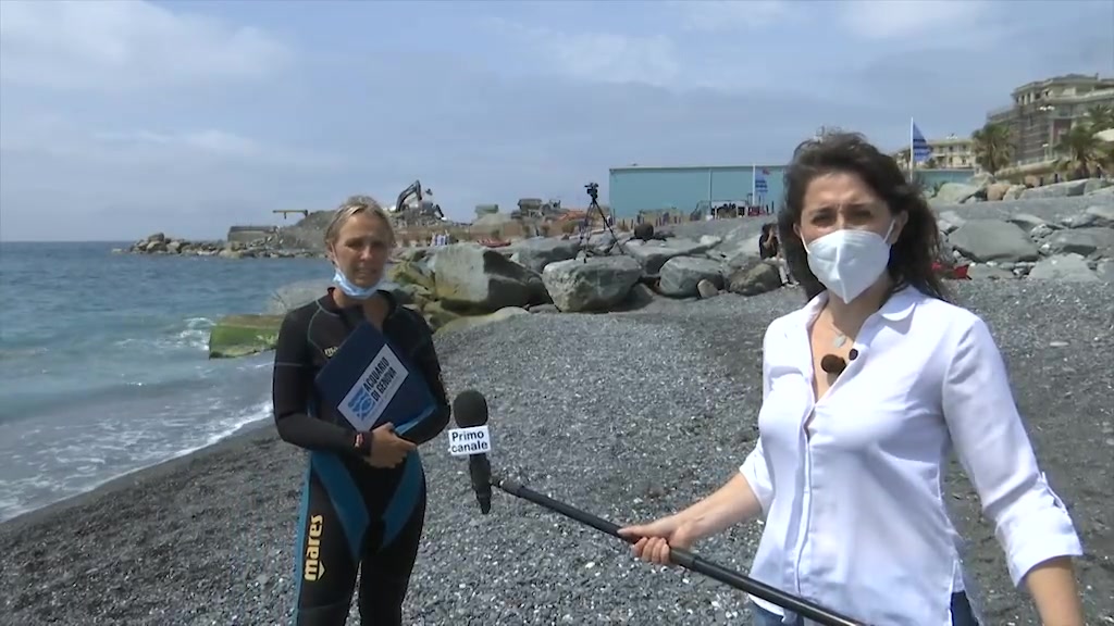 Le tartarughe Trecentina e Camilla-Regina tornano in mare, Acquario di Genova: 