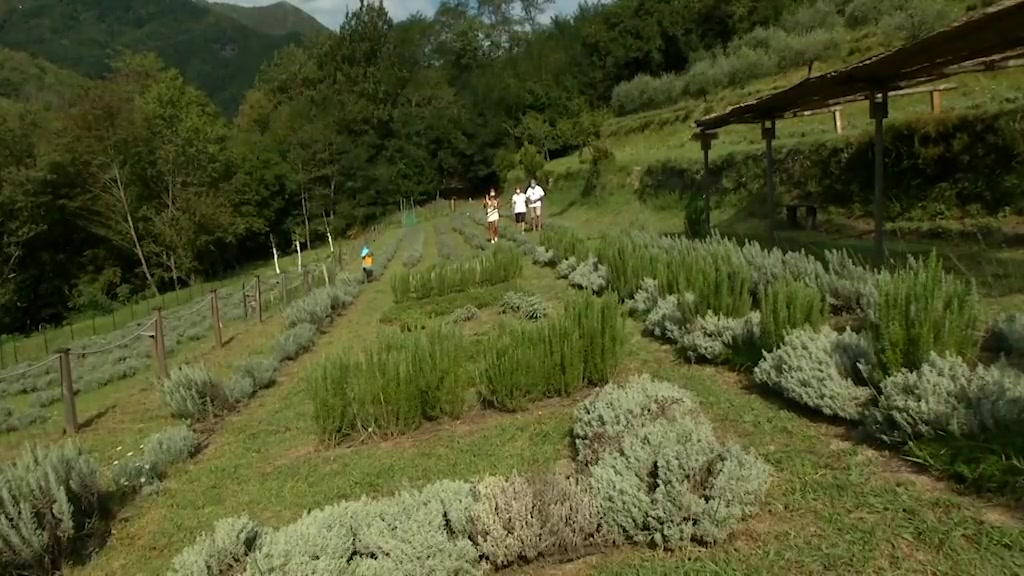 Un pezzo di Provenza in valle Sturla, boom di turisti nell'entroterra