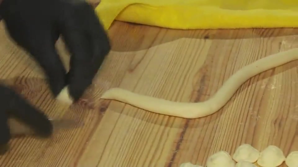 A Santo Stefano le orecchiette pugliesi fatte a mano nel cuore del centro storico di Genova