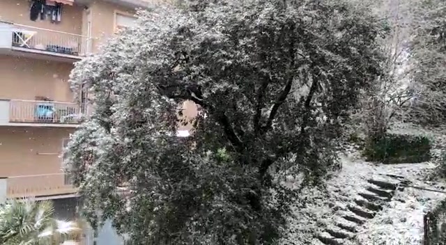 La neve in Liguria, i vostri video: Pegli