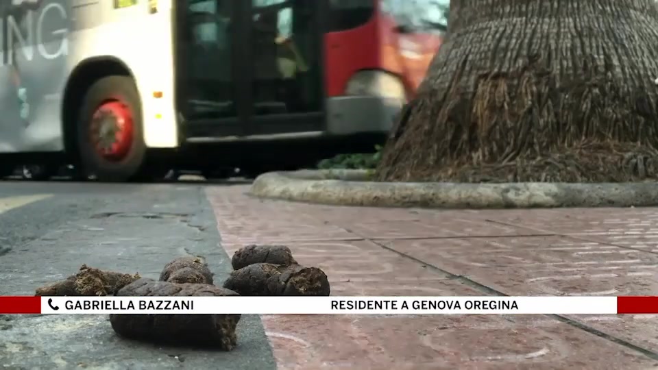 OltreTutto, le vostre segnalazioni su Primocanale: cani e padroni distratti ad Oregina