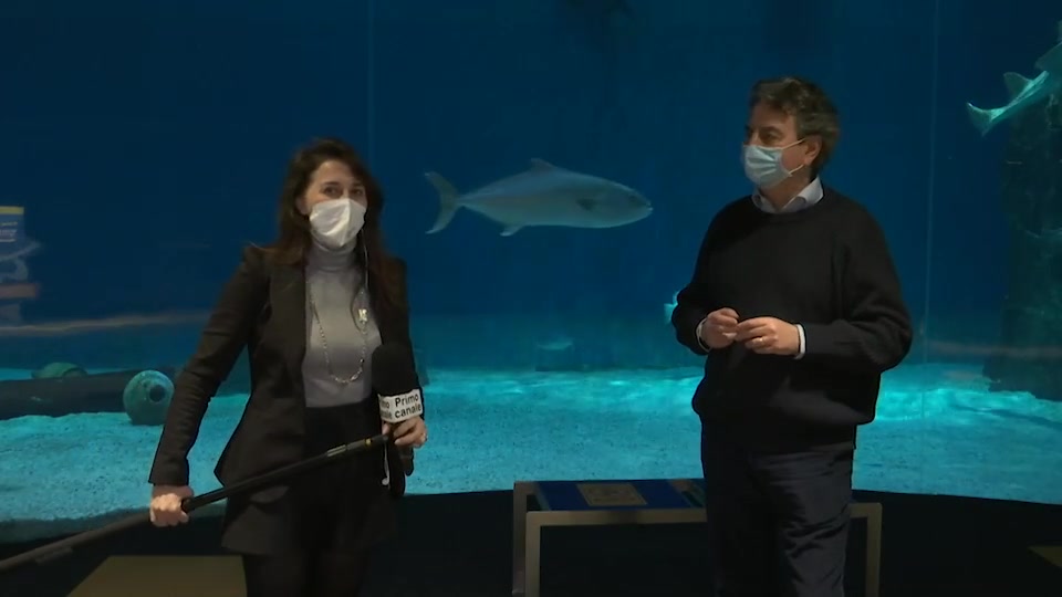 Acquario, il presidente Costa: 