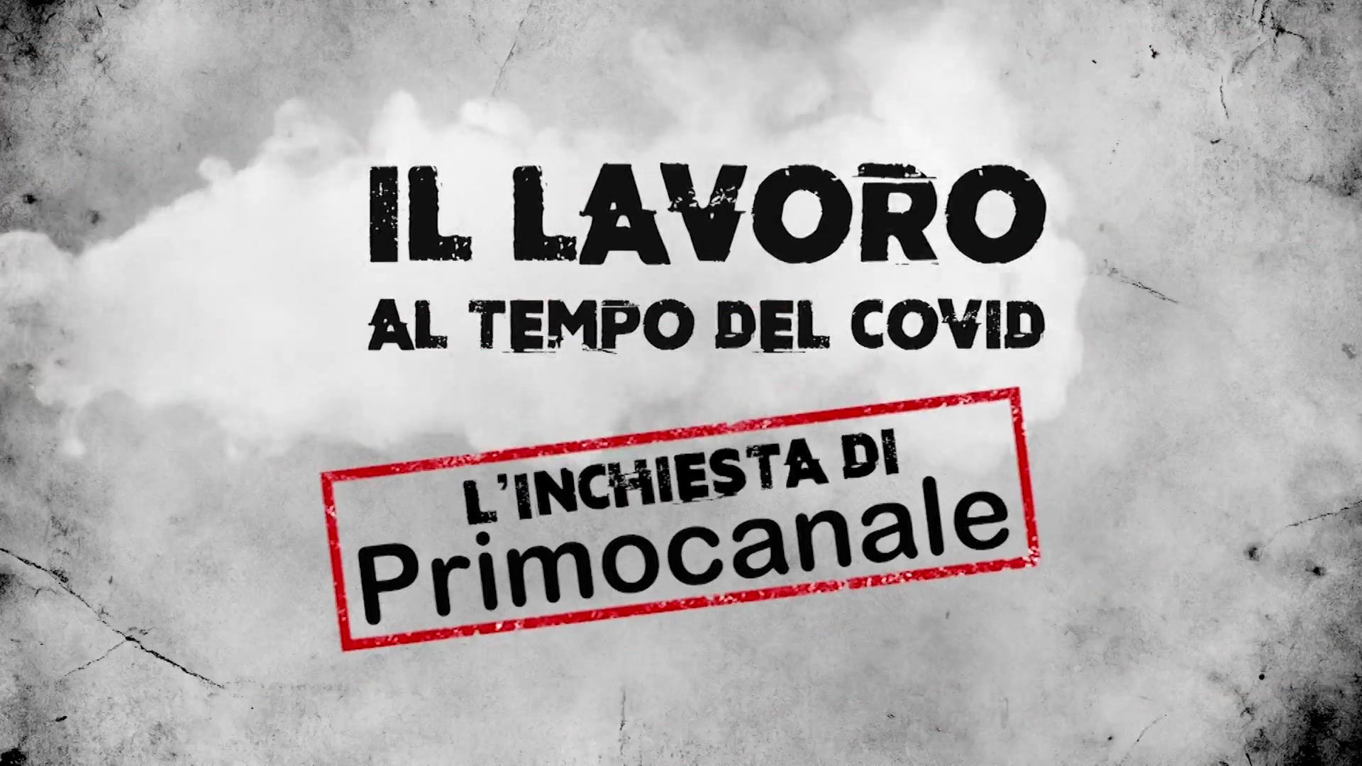 Il lavoro al tempo del Covid, LM Staff Parrucchieri Genova: 