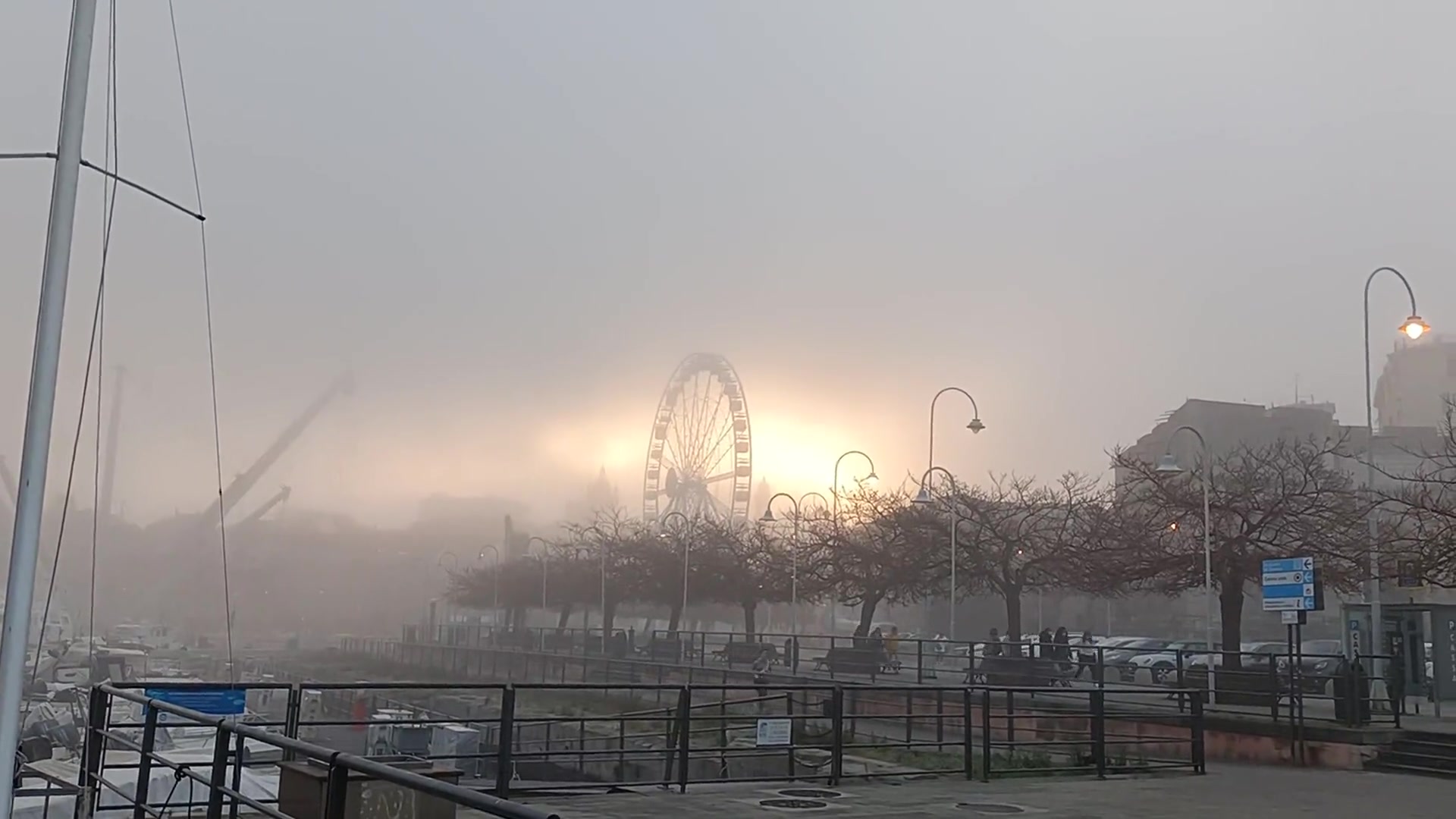 Caligo nel porto di Genova, le immagini della nebbia che ha avvolto la costa