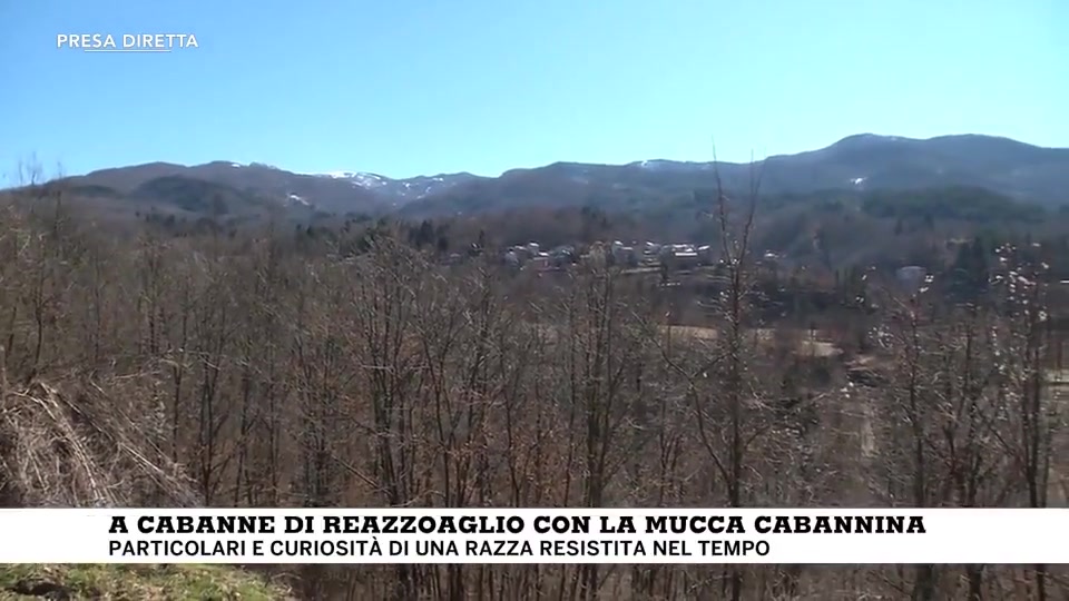 Festa della donna, la storia di Giulia: da Genova alla Val d'Aveto per allevare tori