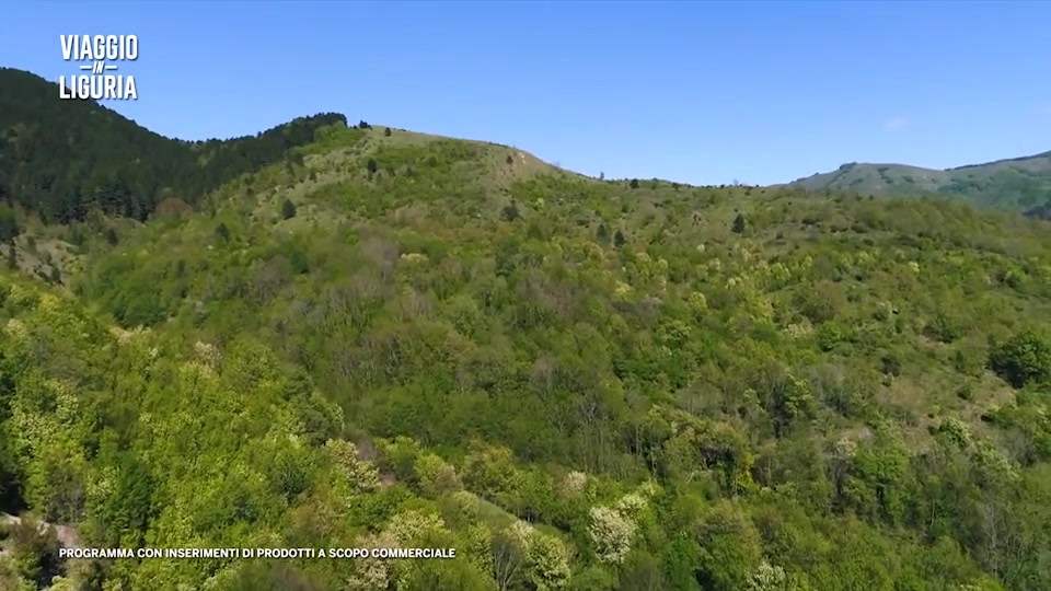 Viaggio in Liguria alla scoperta della Val di Vara (3)