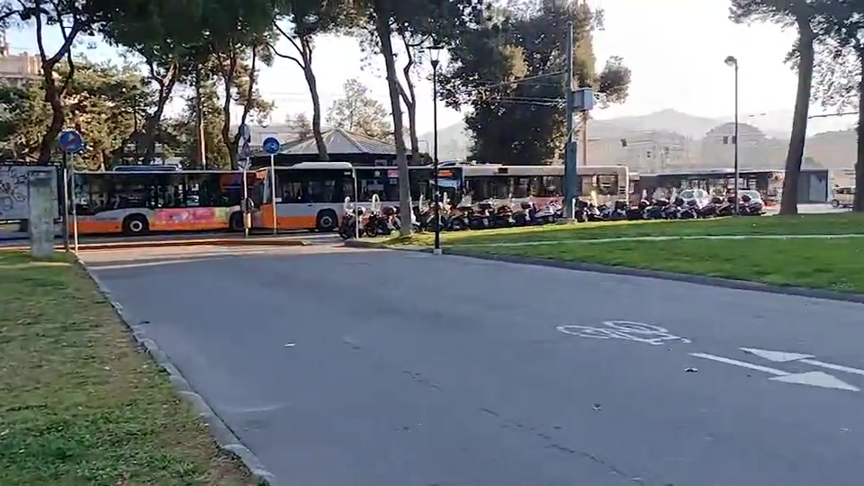 Genova, ecologisti alla battaglia per salvare gli alberi di Brignole