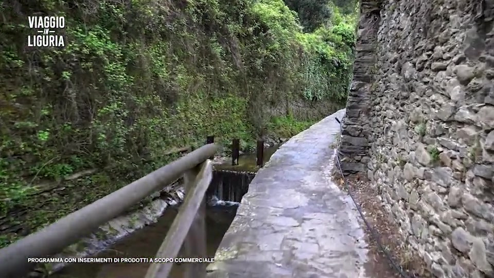 Viaggio in Liguria alle Cinque Terre (3)