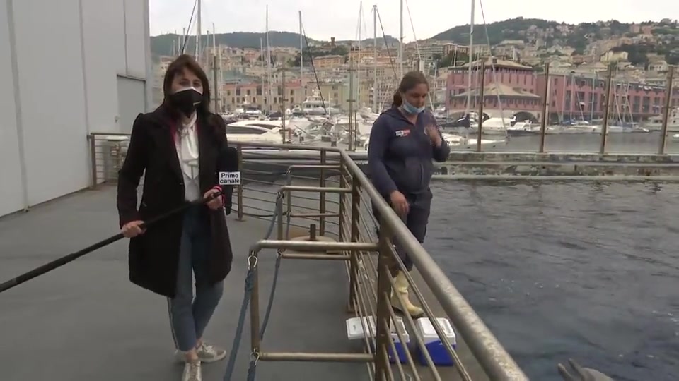 Acquario di Genova, dopo la chiusura i delfini interagiscono spontaneamente con i bambini