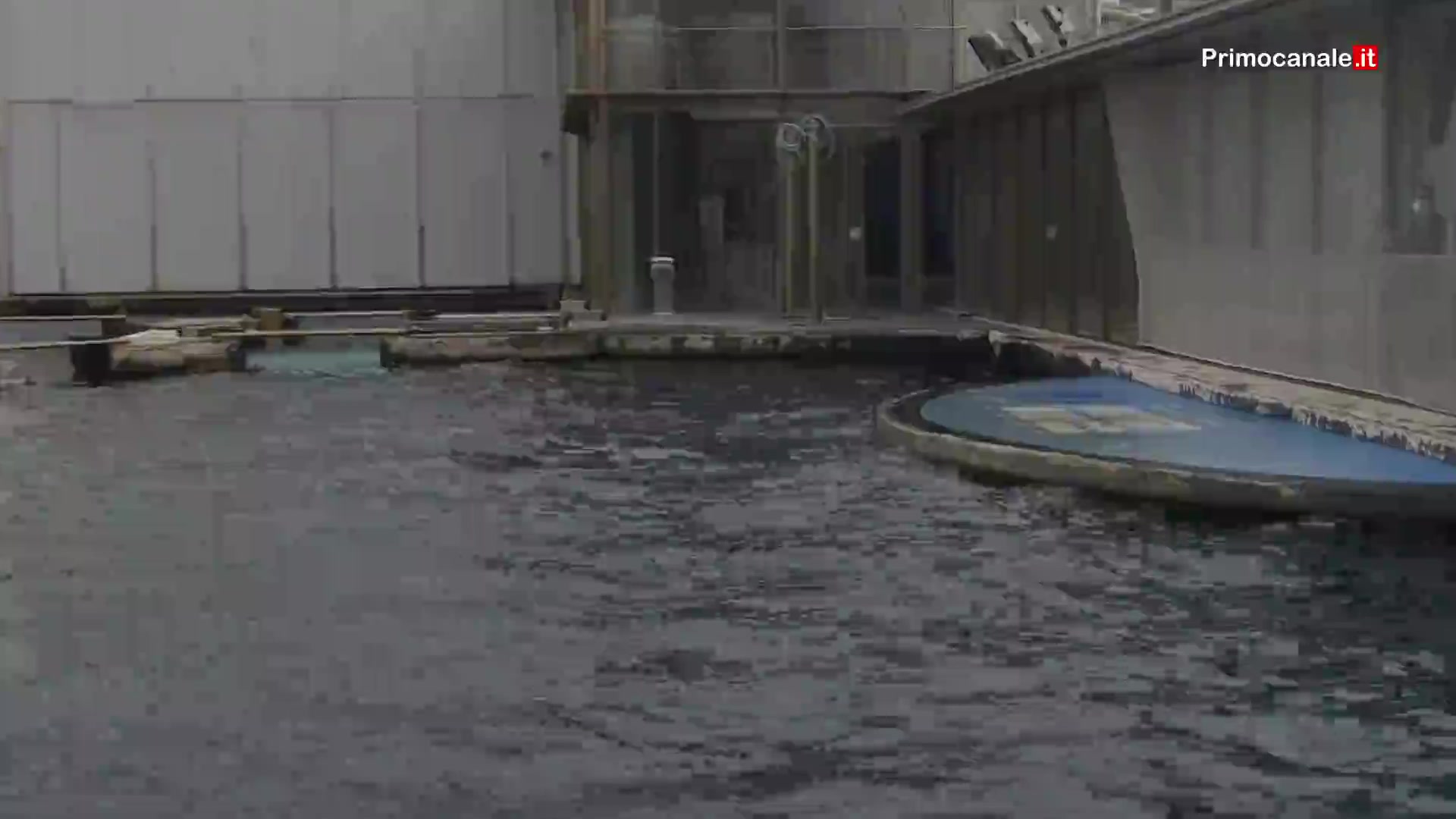 Acquario di Genova, la riapertura dopo 5 mesi di attesa è un successo