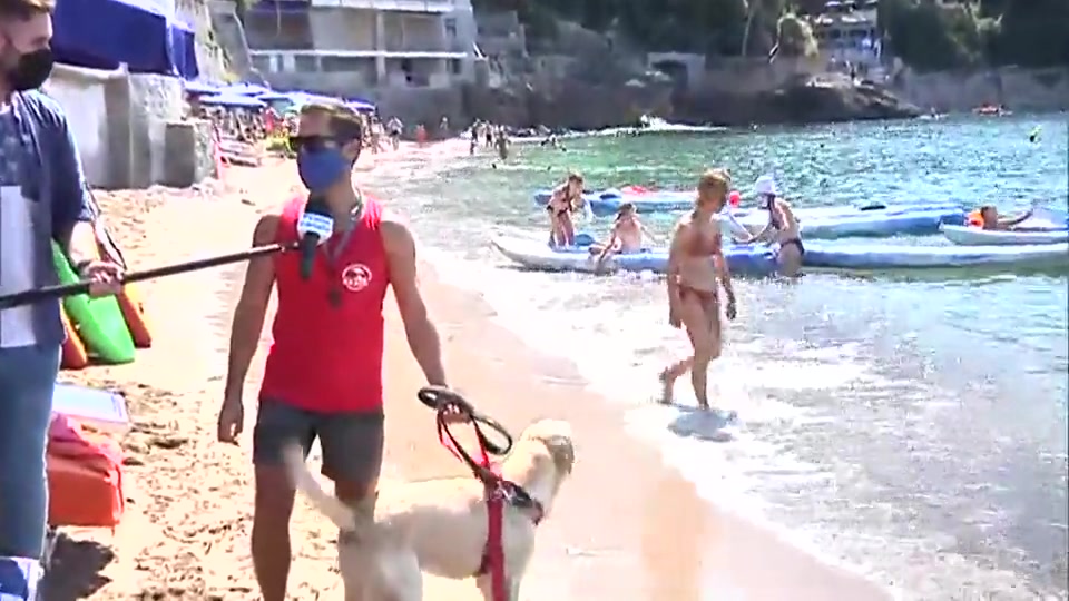 Holli, la guardiana della spiaggia di uno stabilimento a Fiascherino