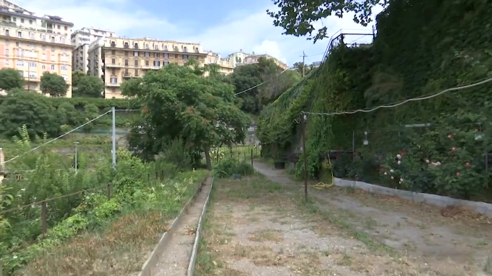 Rifioriscono le serre di San Nicola nel quartiere di Castelletto a Genova