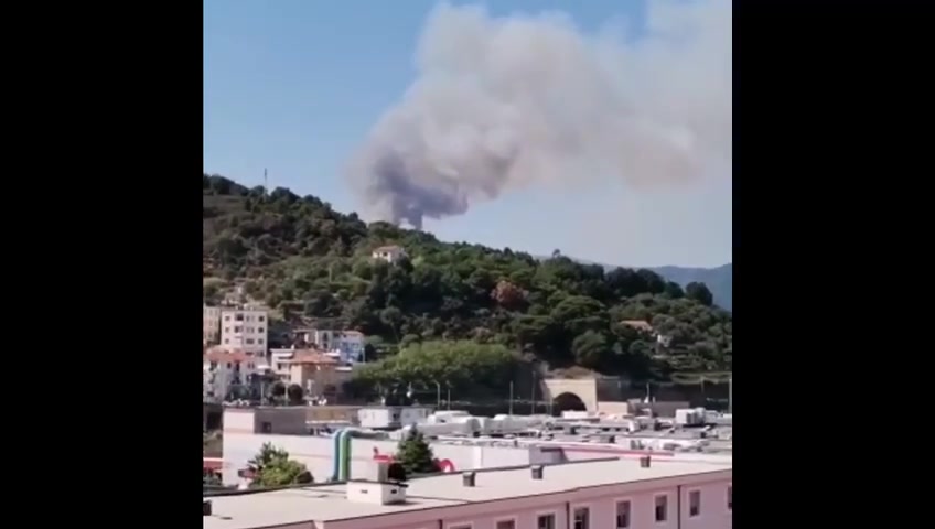 Incendio sulle alture di Savona, la colonna di fumo visibile dall'autostrada