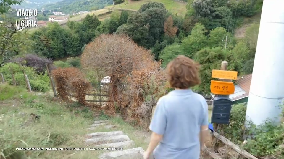 Viaggio in Liguria in alta Valpolcevera (3)