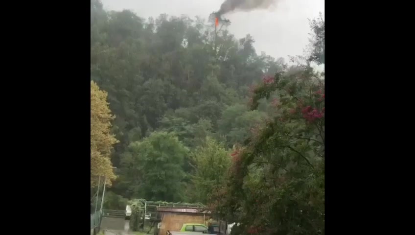 Allerta meteo in Liguria, fulmine a Tribogna incendio un albero