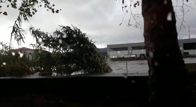 Allerta meteo, il Sansobbia invade le strade di Albissola