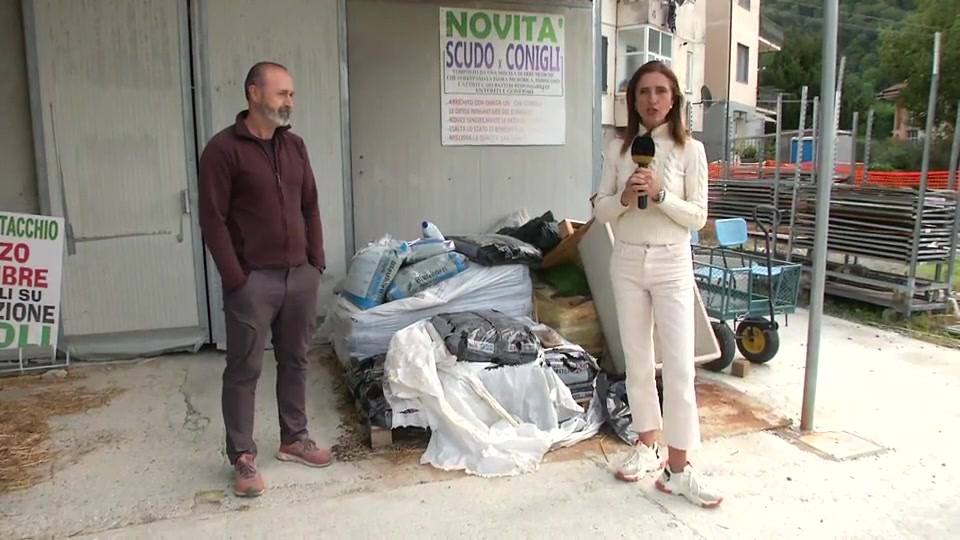 L'evoluzione dei cinghiali: ora sanno aprirsi anche le porte dei magazzini per banchettare 