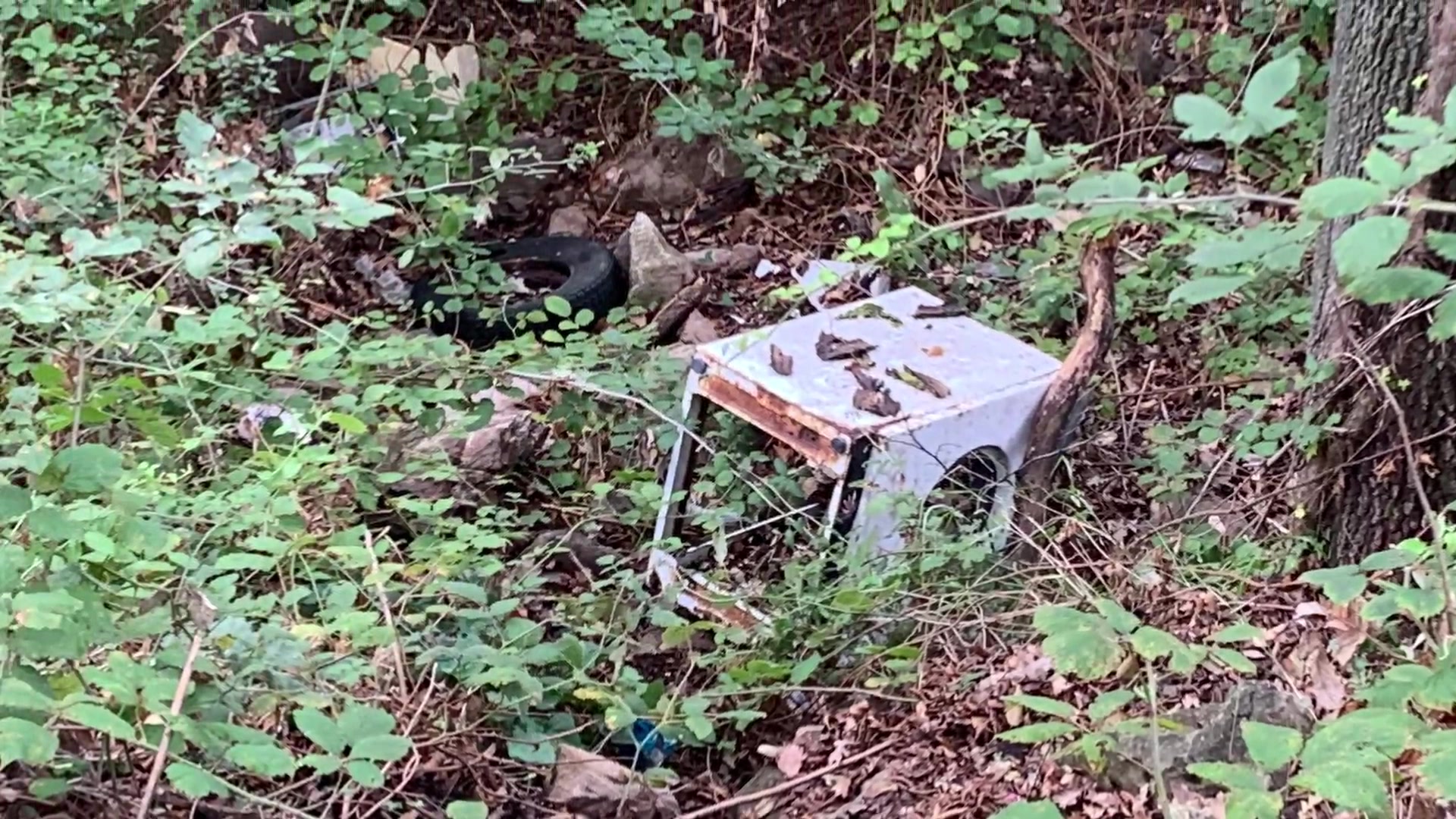 Genova, le alture di San Fruttuoso diventate discariche a cielo aperto