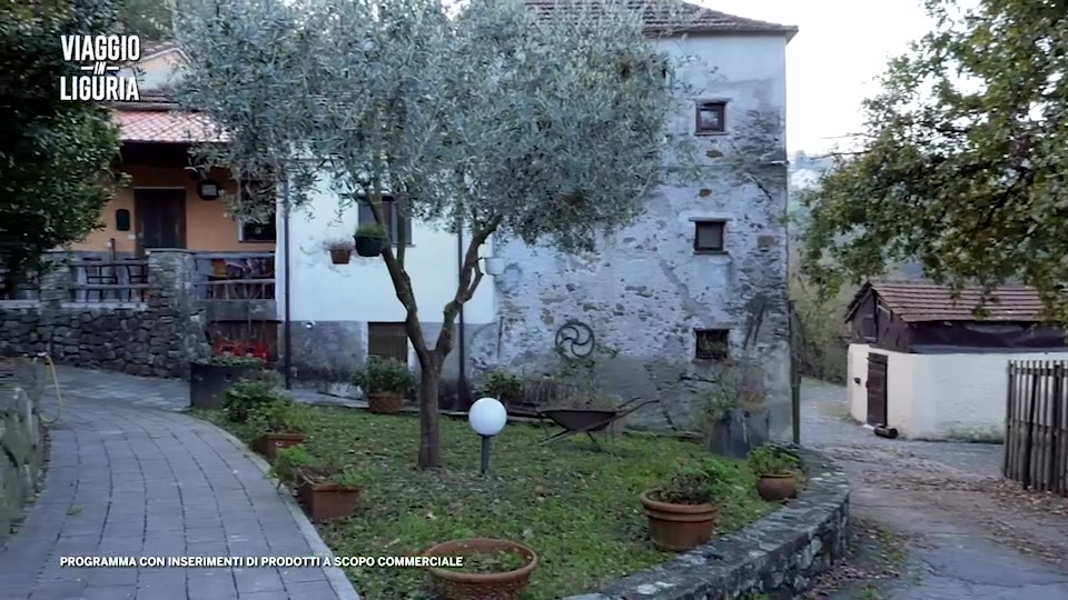 Viaggio in Liguria tra olio, storie umane e personaggi unici (4)